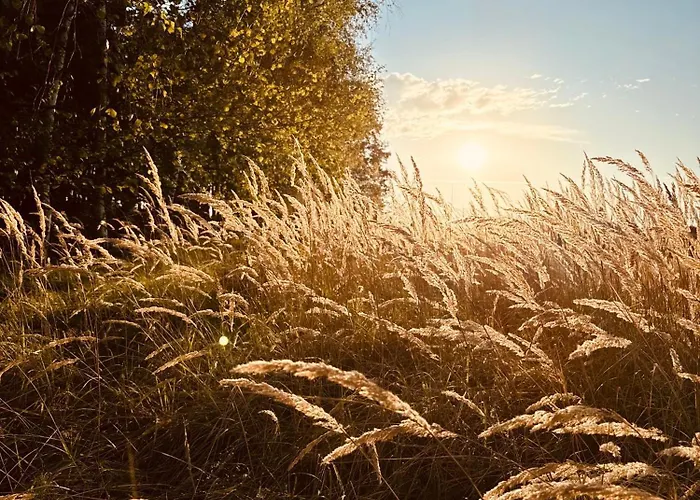 Casa vacanze Sosnowka *